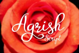 Agrish Script Font for Editorial Design and Branding