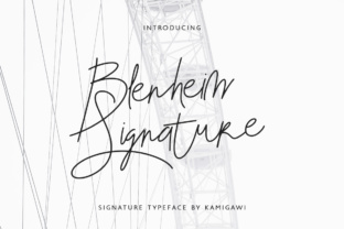 Blenheim Signature Script Font for Campaign Designers