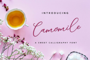 Camomile Script: A Sophisticated Script Handwritten Font for Brand Elegance