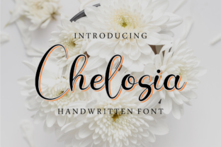 Chelosia Script Font for Warm, Romantic Brand Identity