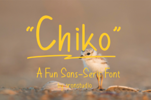 Chiko: A Playful Sans Serif Font for Small Business Branding
