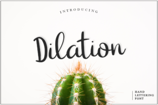 Dilation: A Fresh Handmade Calligraphy Font for Makers