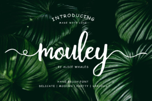 Mouley: A Handwritten Script Font for Trendy Digital Brands