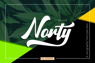 Norty: A Painterly Script Handwritten Font for Brand Consistency