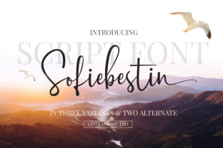 Sofiebestin Script: A Modern Handwritten Font for Designer Projects
