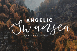 Swansea: A Script Handwritten Font with Quiet Confidence