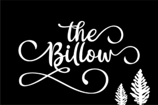 The Billow Script Font for Elegant Digital Branding