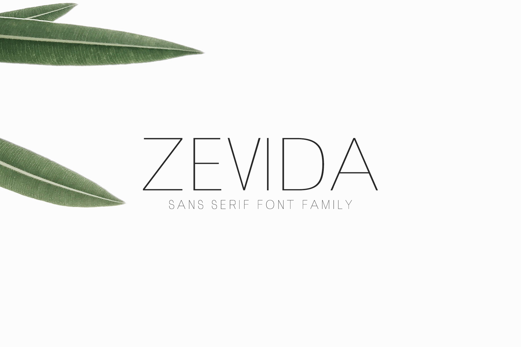 Zevida: A Clean Sans Serif Font for Campaign-Ready Design